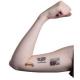 Product icon 1 for Fun Tattoos-small