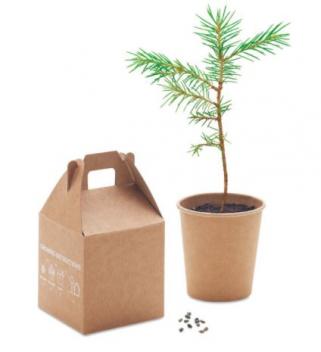 Product image 2 for Tree in a Box