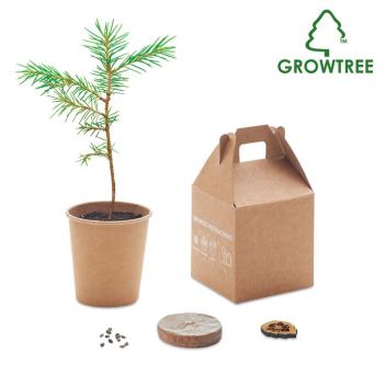 Product image 7 for Tree in a Box